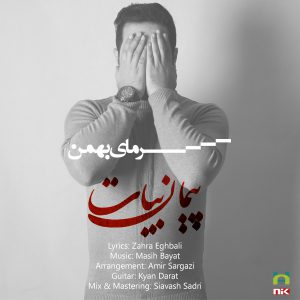peyman bayat - sarmaye bahman - cover and poster design